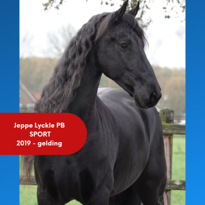 Jeppe Jeppe